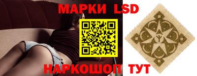 мдпв Новозыбков