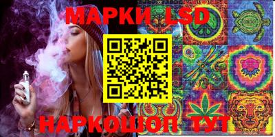 мдпв Новозыбков