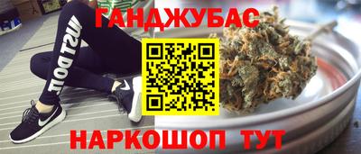 мдпв Новозыбков
