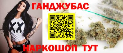 мдпв Новозыбков
