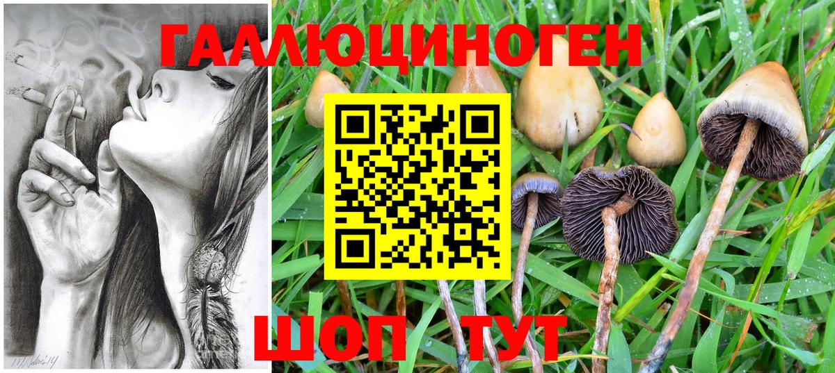 Псилоцибиновые грибы ЛСД Ставрополь